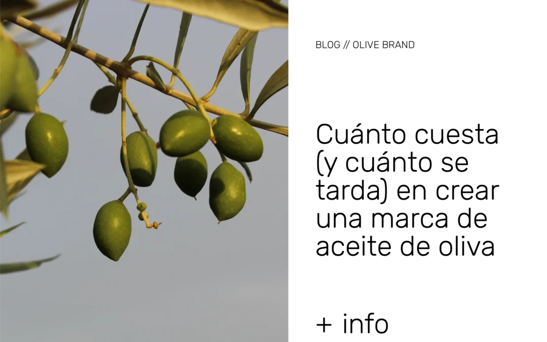 Cuánto cuesta (y cuánto se tarda) en crear una marca de aceite de oliva